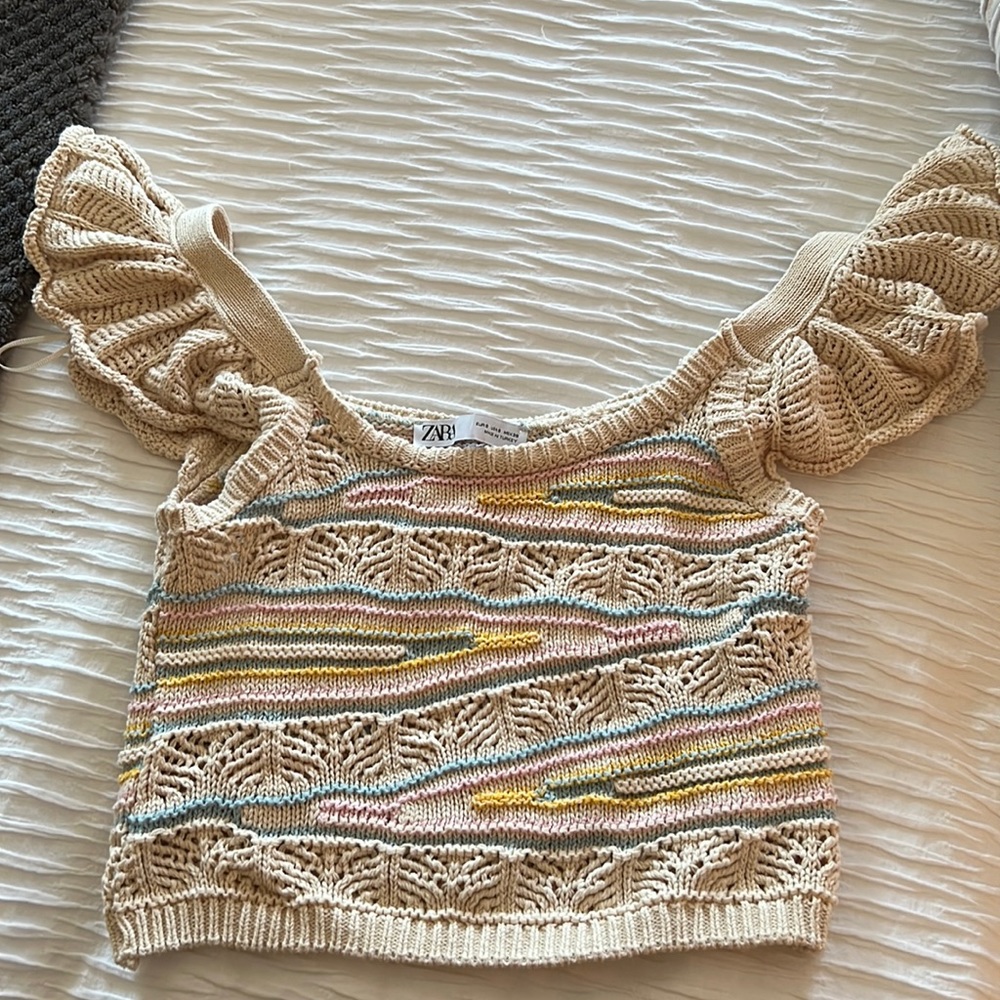 Zara crop top embroidered shirt